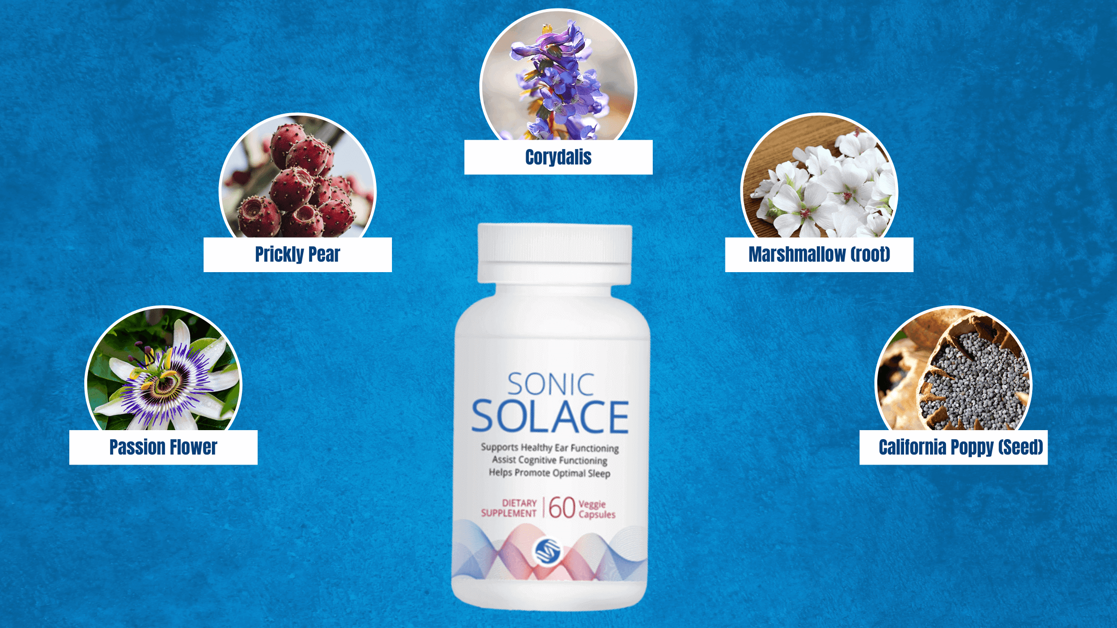 Sonic Solace Supplement Facts
